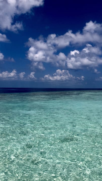 Ausblick Cinnamon Velifushi Maldives - Free One-Way Speedboat and 02 Kids Under 12 Stay & Dine Free