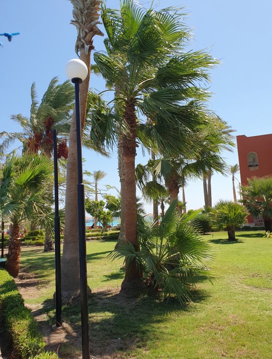 Gartenanlage Arabia Azur Resort