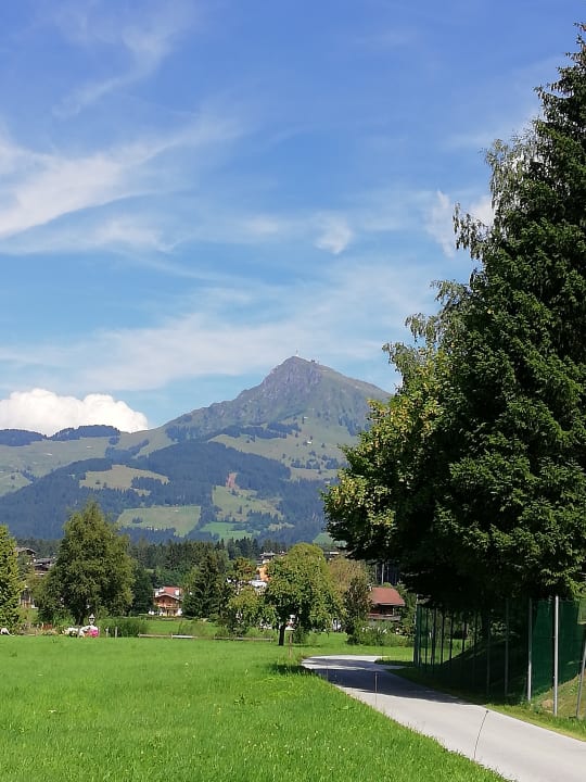 Ausblick Pension Thainerhof