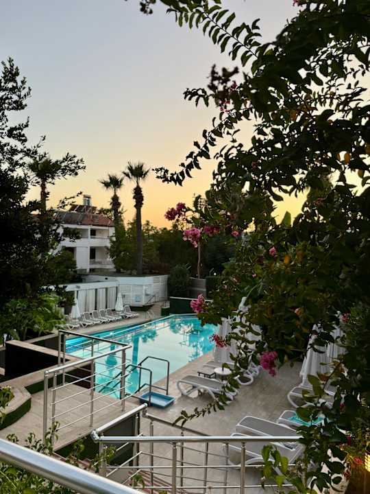 Pool Side Star Elegance