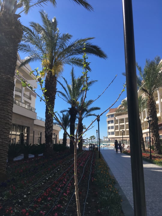 Gartenanlage Kirman Belazur Resort & Spa