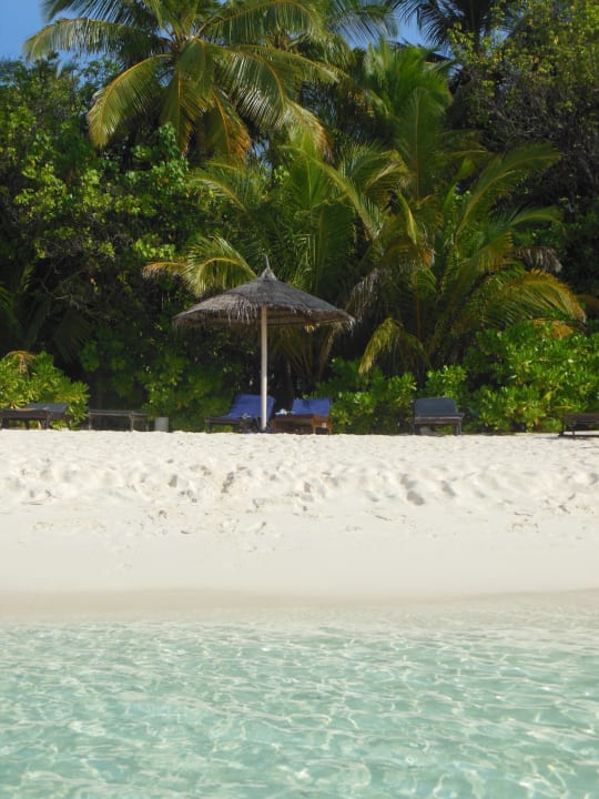 Herrlich Ellaidhoo Maldives by Cinnamon