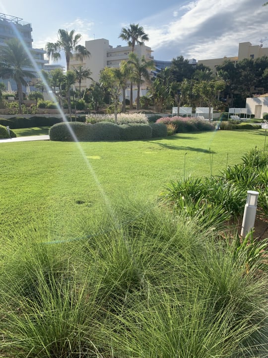 Gartenanlage Hipotels Gran Playa De Palma