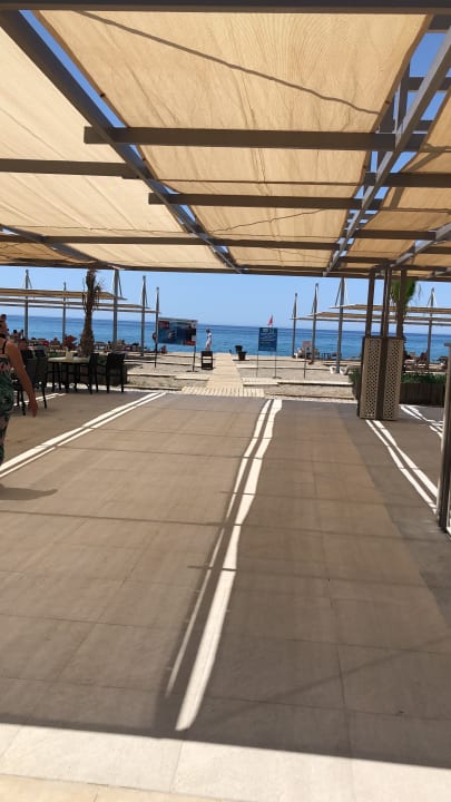 Gastro Calimera Serra Palace
