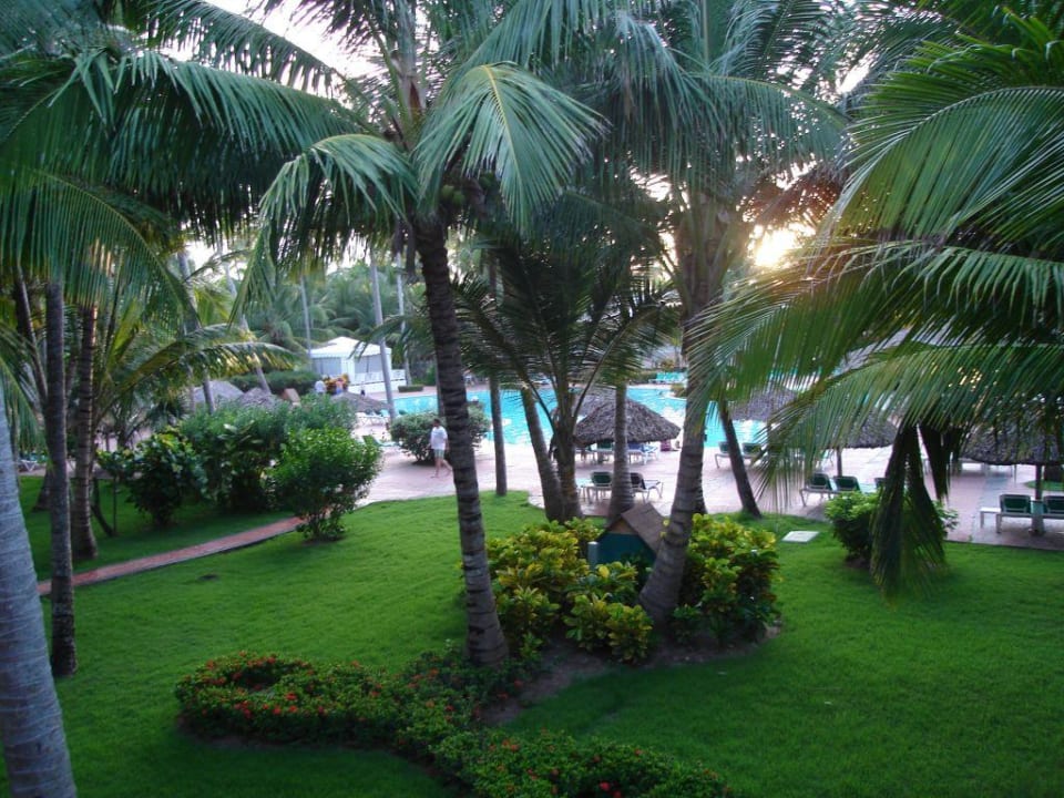 Pool Palladium Palace Hotel Grand Palladium Palace Resort, Spa & Casino