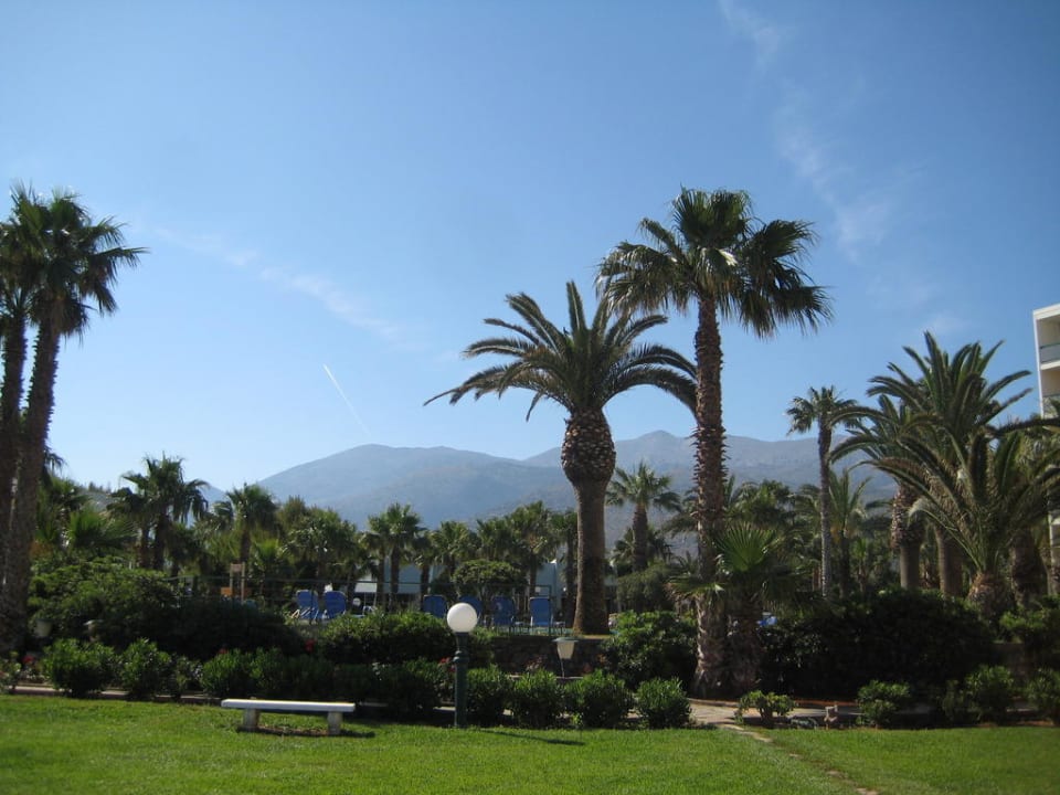 Gartenanlage und Blick auf die Berge Calimera Sirens Beach