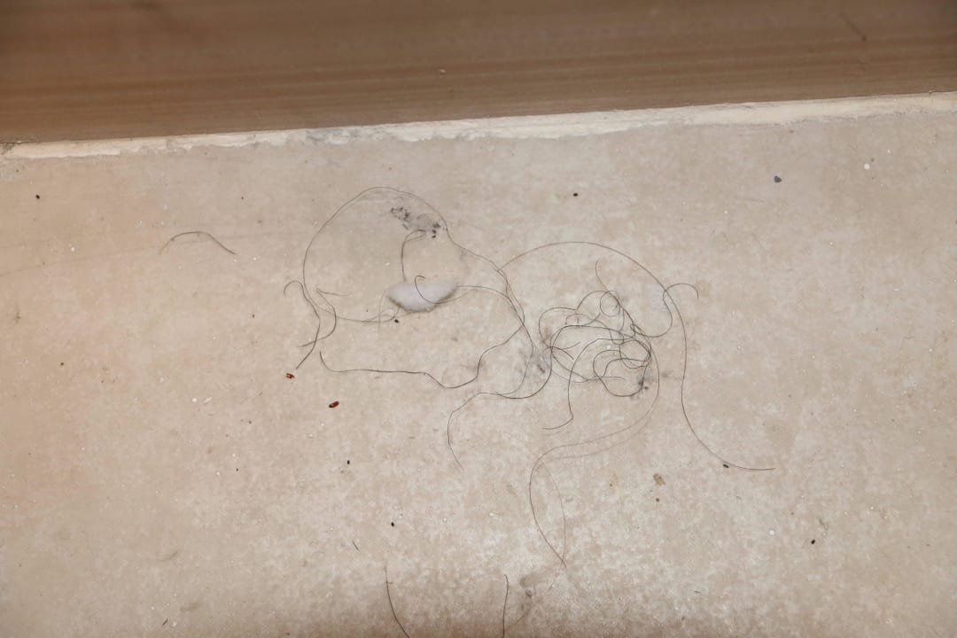 Bad Sirenis Tropical Varadero