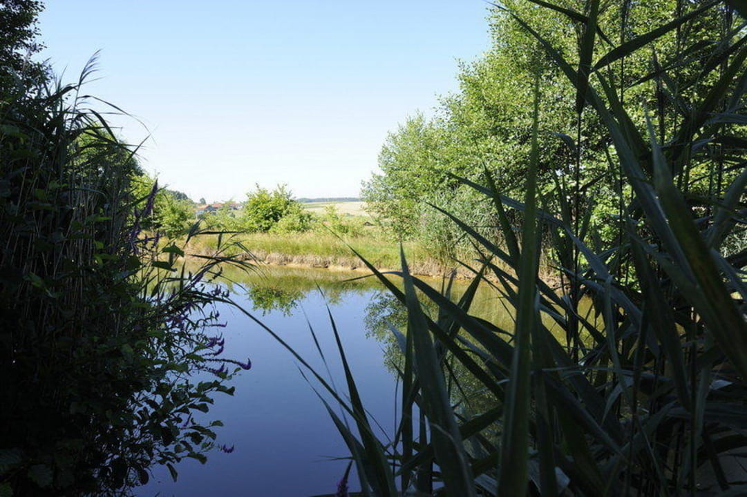 Haus am See Hofgut Hafnerleiten