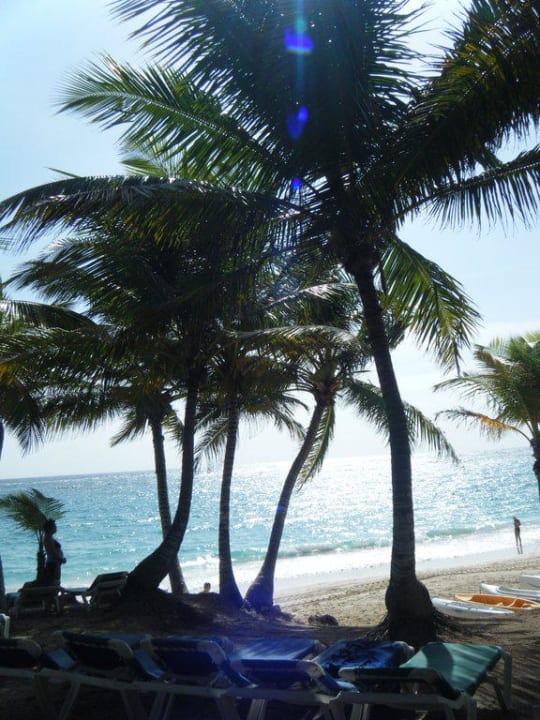 Schauen und genießen Hotel Riu Palace Bavaro