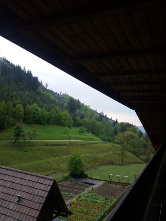 Ausblick Ferienhof Wußler