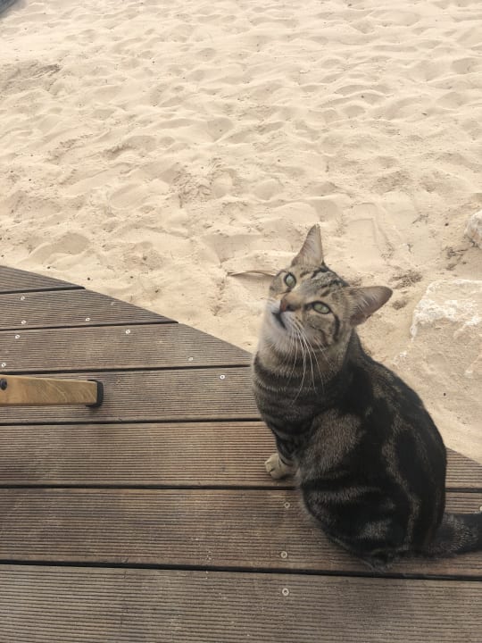 Strand Asterias Beach
