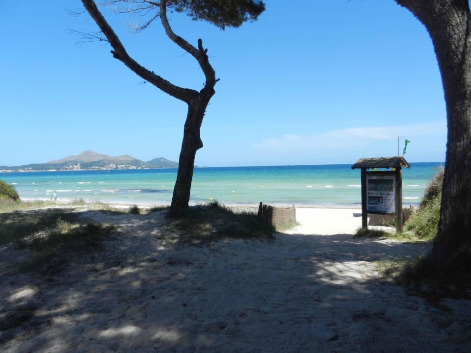 Ohne Wort Prinsotel La Dorada