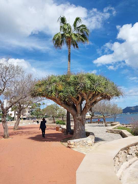 Strand CM Playa del Moro