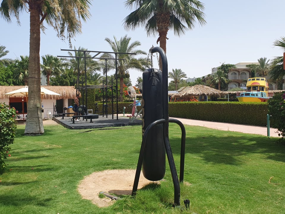 Gartenanlage Desert Rose