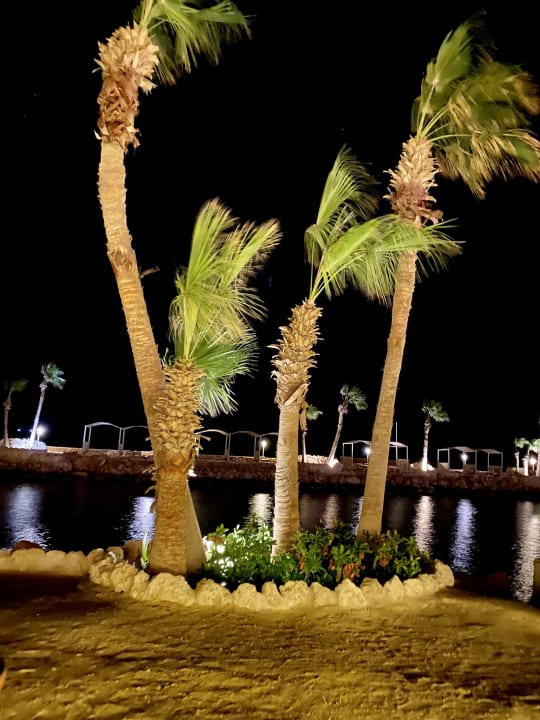 Gartenanlage Pickalbatros Citadel Resort