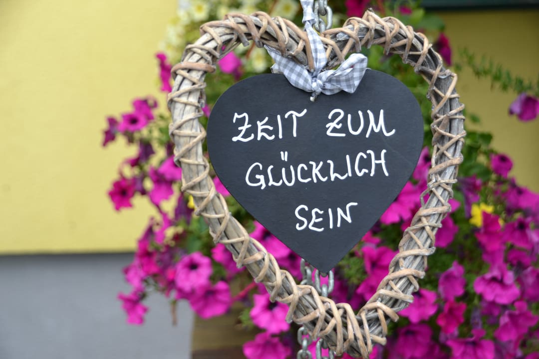 Sonstiges Erlebnisbauernhof Steinerhof