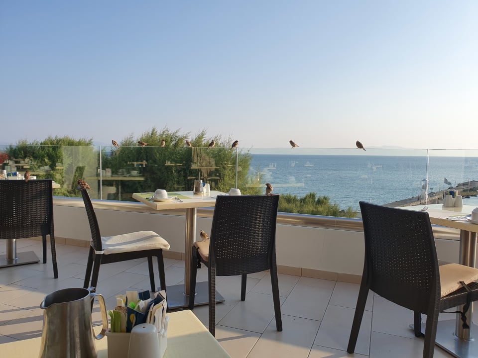 Gastro TUI BLUE Oceanis Beach and Spa Resort