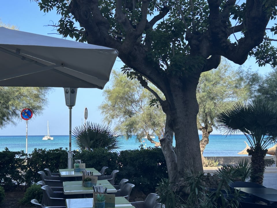 Gastro allsun Hotel Marena Beach