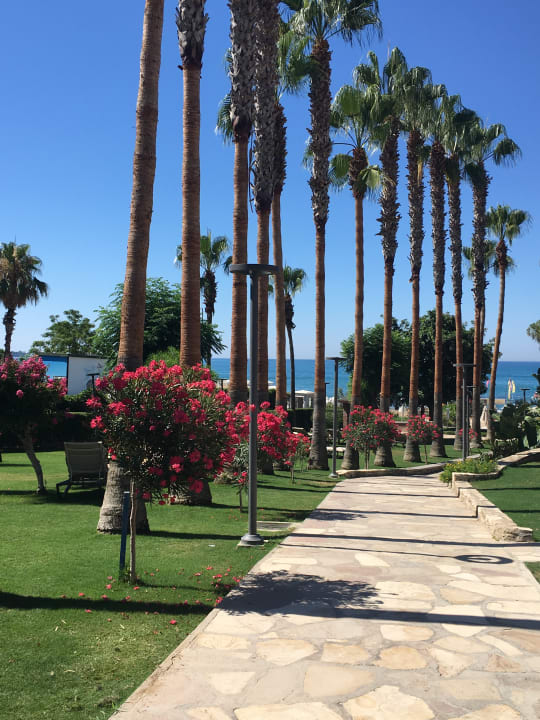 Gartenanlage Arum Barut Collection