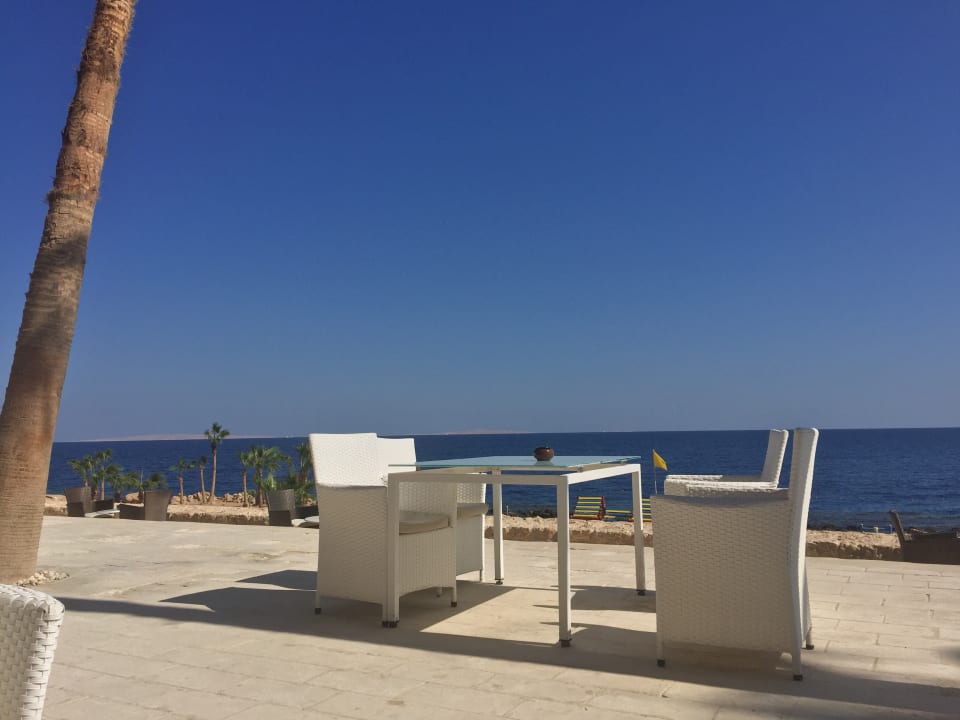 Ausblick Pickalbatros Citadel Resort