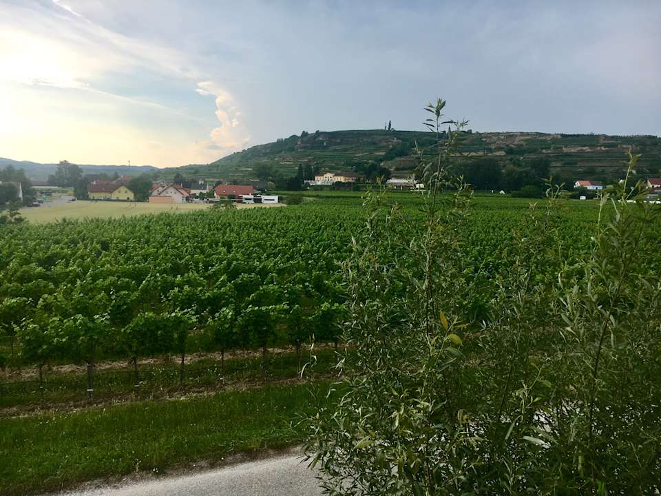 Ausblick Landhaus Weinblick