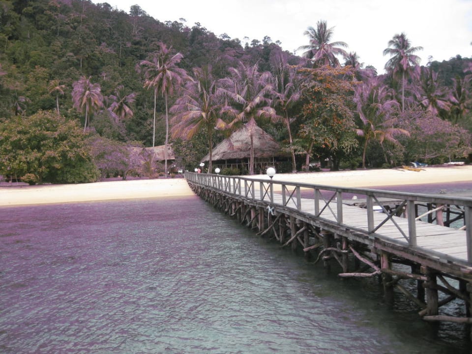 Steg zum Strand und Restaurant Cubadak Paradiso Village