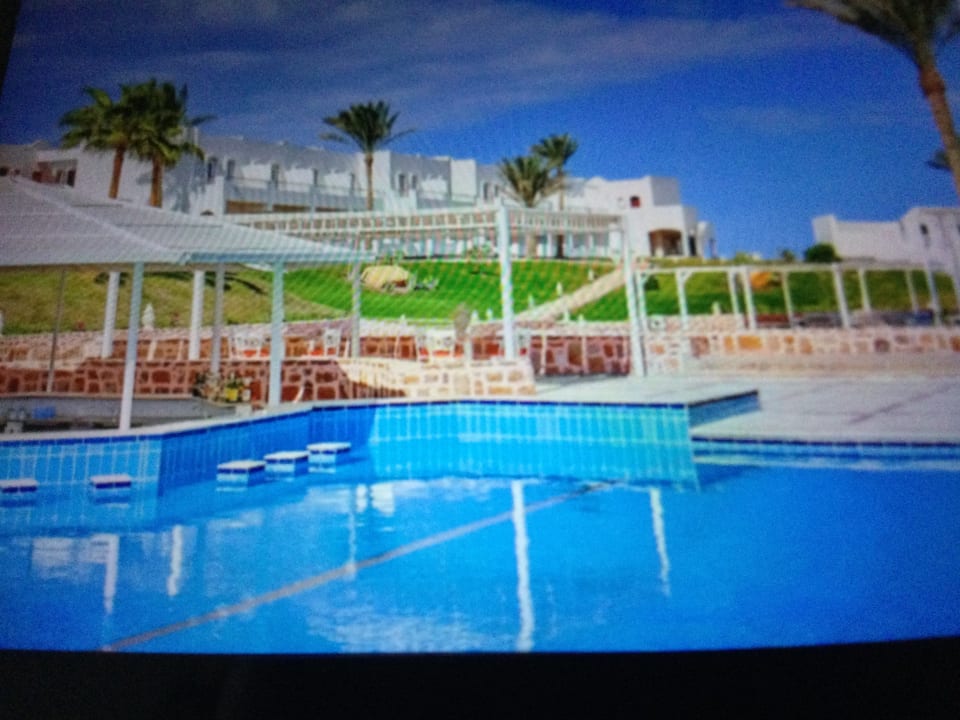 Pool JAZ Neo Reef Marsa