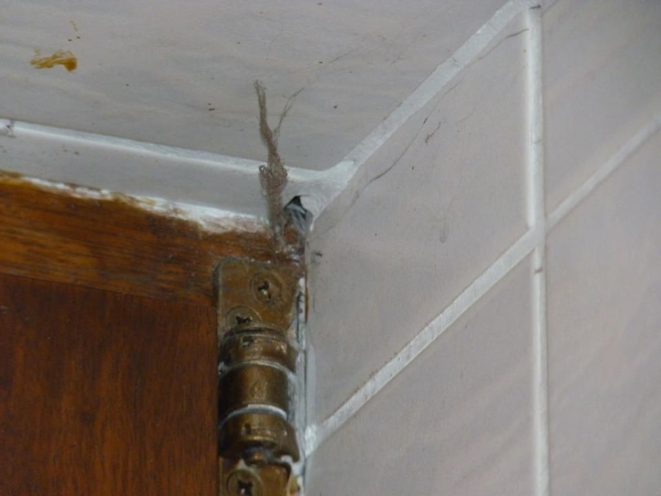 Spinnweben und Schimmel Hotel Zum Lamm