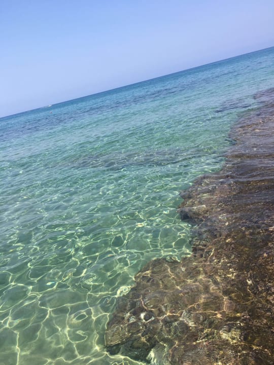 Strand Phãea Cretan Malia