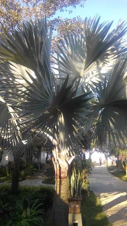 Garten Baan Khaolak Beach Resort