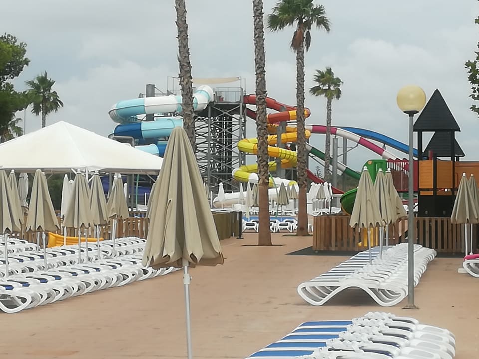 Sport & Freizeit Globales Bouganvilla