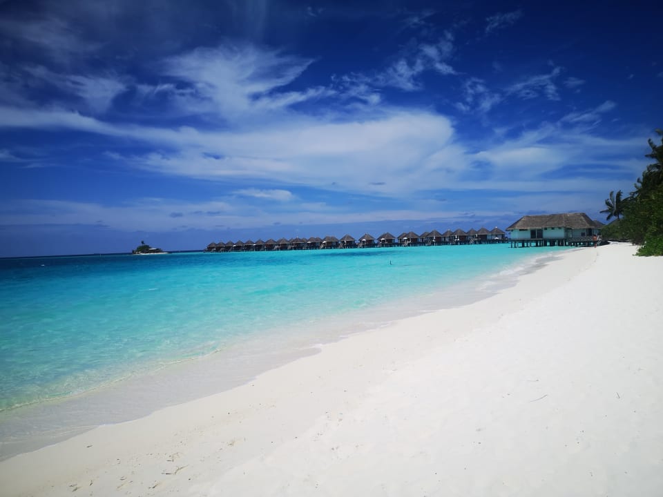 Strand Safari Island Maldives