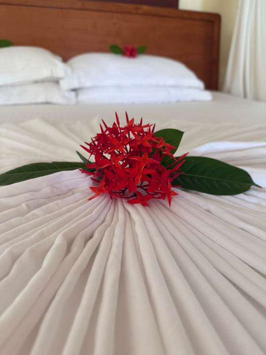 Zimmer Dreamland The Unique Sea & Lake Resort / Spa