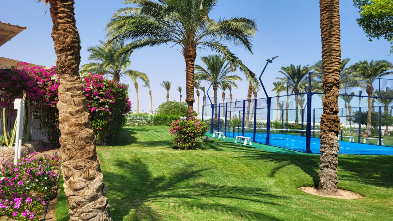 Gartenanlage Desert Rose