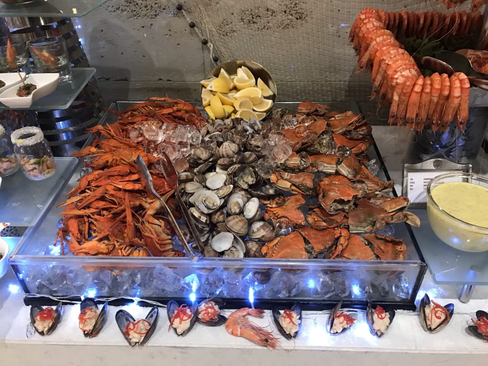 Gastro Acanthus Cennet Barut Collection