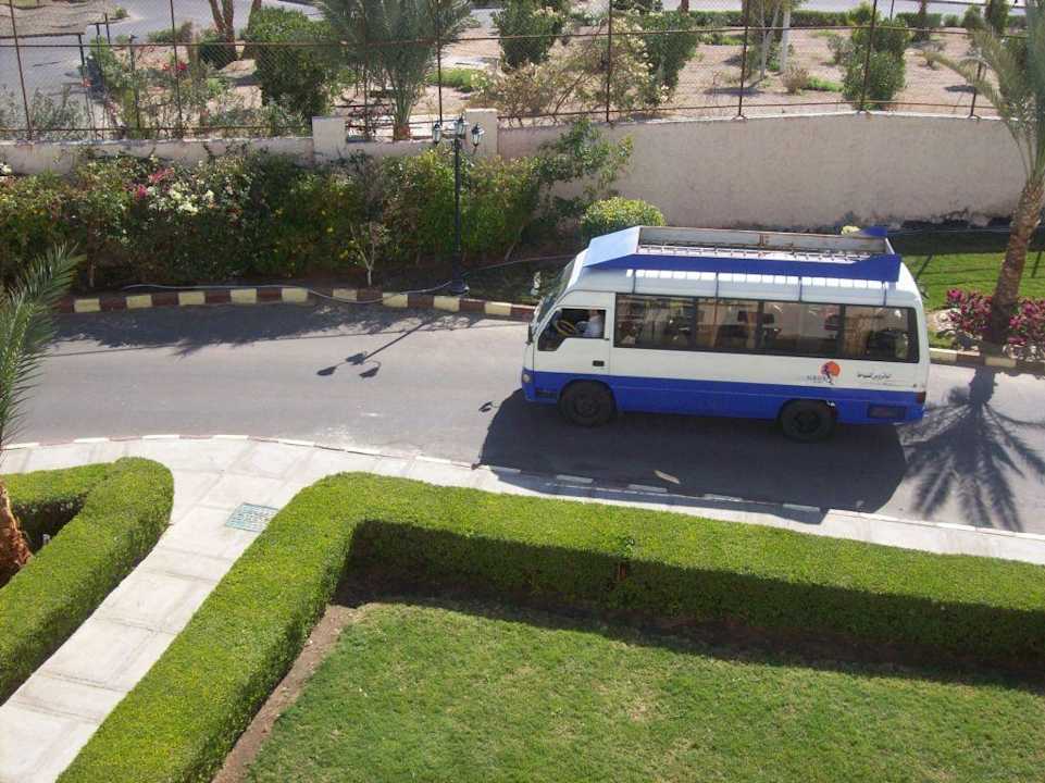 Widok z okna Pickalbatros Dana Beach Resort - Hurghada