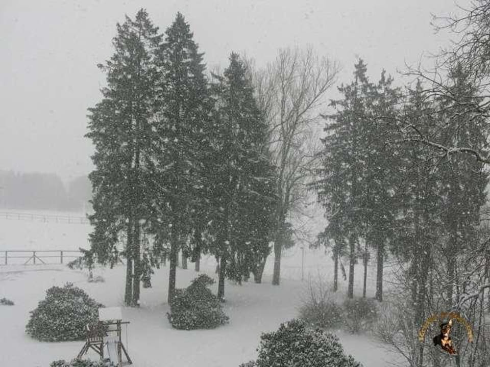 Ausblick aus Zimmer 212 Hotel Harzhaus