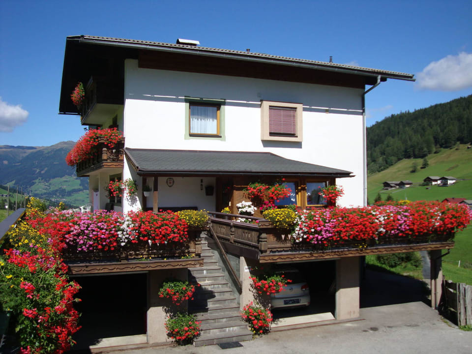 Herrliche Blumenpracht im Sommer 2015 Apartments Haus Annemarie Kartitsch Hochpustertal Osttirol