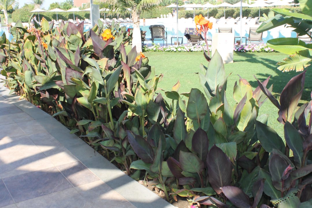 Gartenanlage Ela Excellence Resort Belek