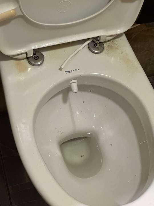 Lobby Crystal Flora Pearl Collection