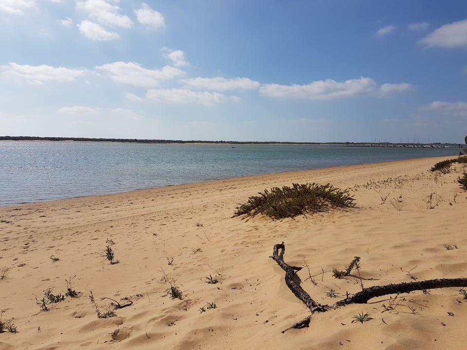 Strand Garden Playanatural - Adults only