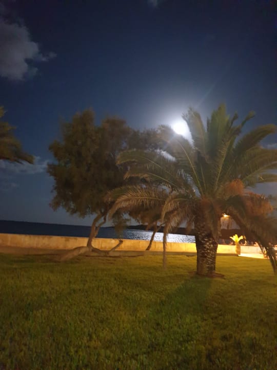 Strand Hipotels Hipocampo Playa