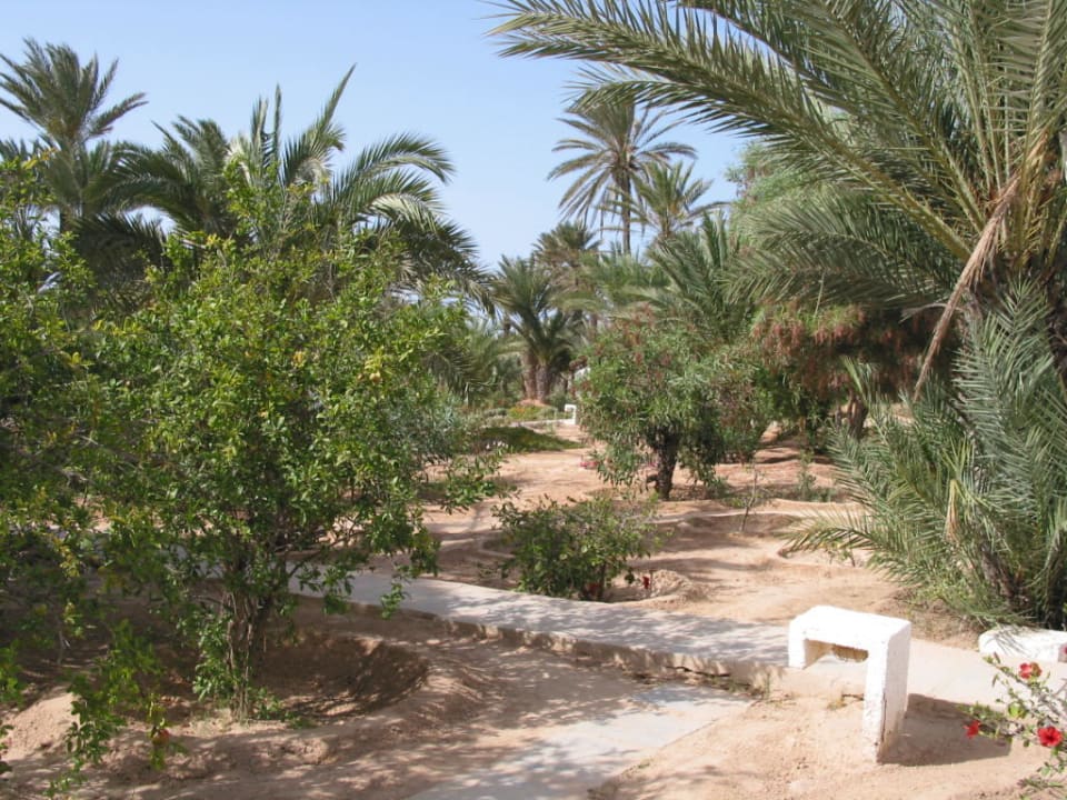 Hotelanlage Hotel Sangho Club Zarzis