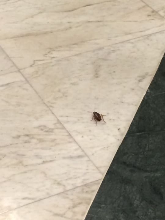 Restaurant Riviera Spa Resort - Adults Only