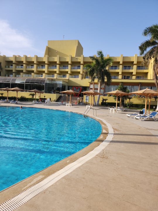 Pool Palm Beach Resort