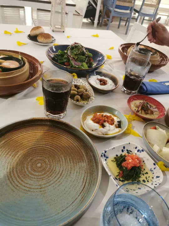 Gastro Lara Barut Collection