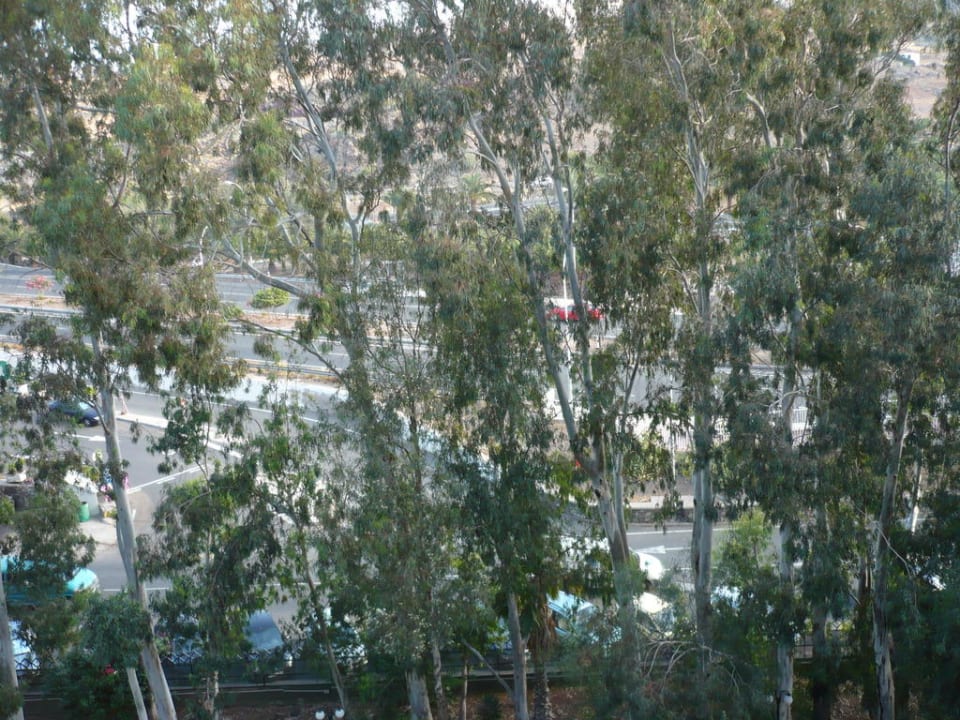 Ausblick auf die Schnellstraße vor dem Hotel Relaxia Beverly Park