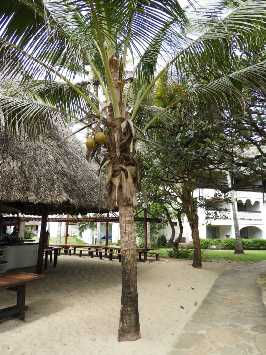 Gastro Hotel Southern Palms Beach Resort