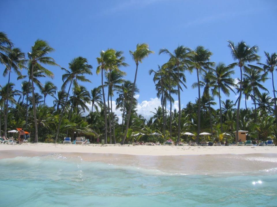 Strand vor dem Hotel Hotel Riu Palace Macao - Adults only