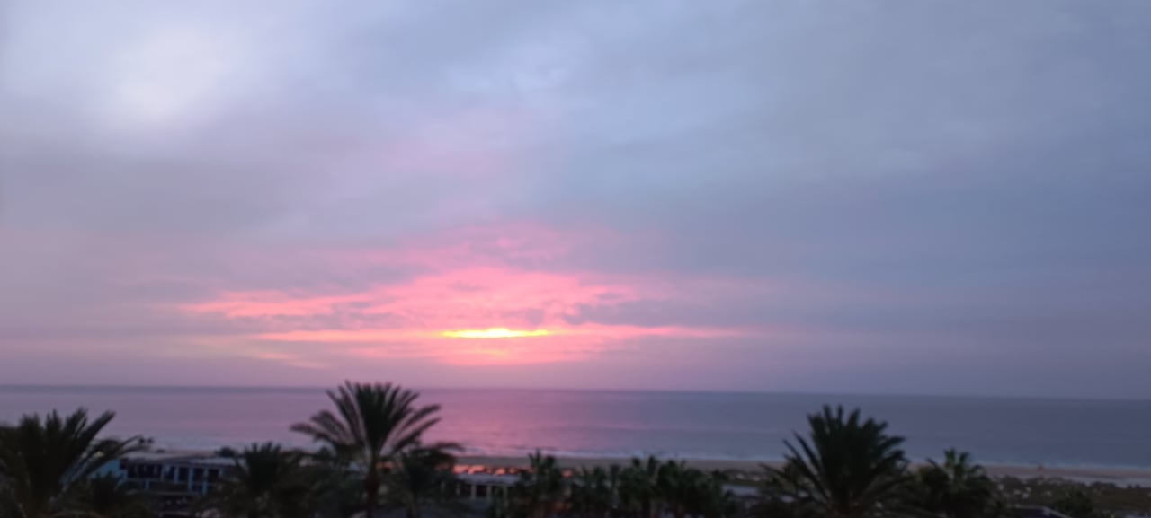 Ausblick Occidental Jandía Royal Level - Adults only